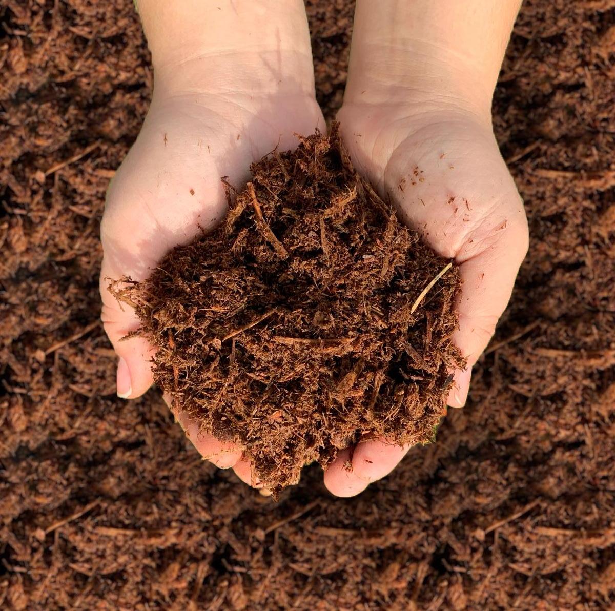 Bright Bark Mulch - Augustine Soil & Mulch Ltd.